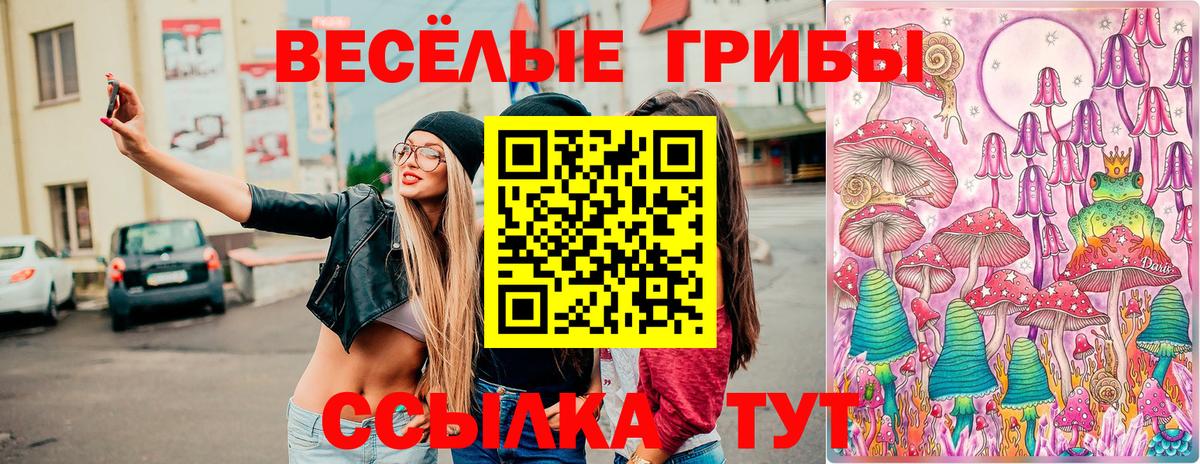 Псилоцибиновые грибы мицелий  Вход с VPN  Трёхгорный 